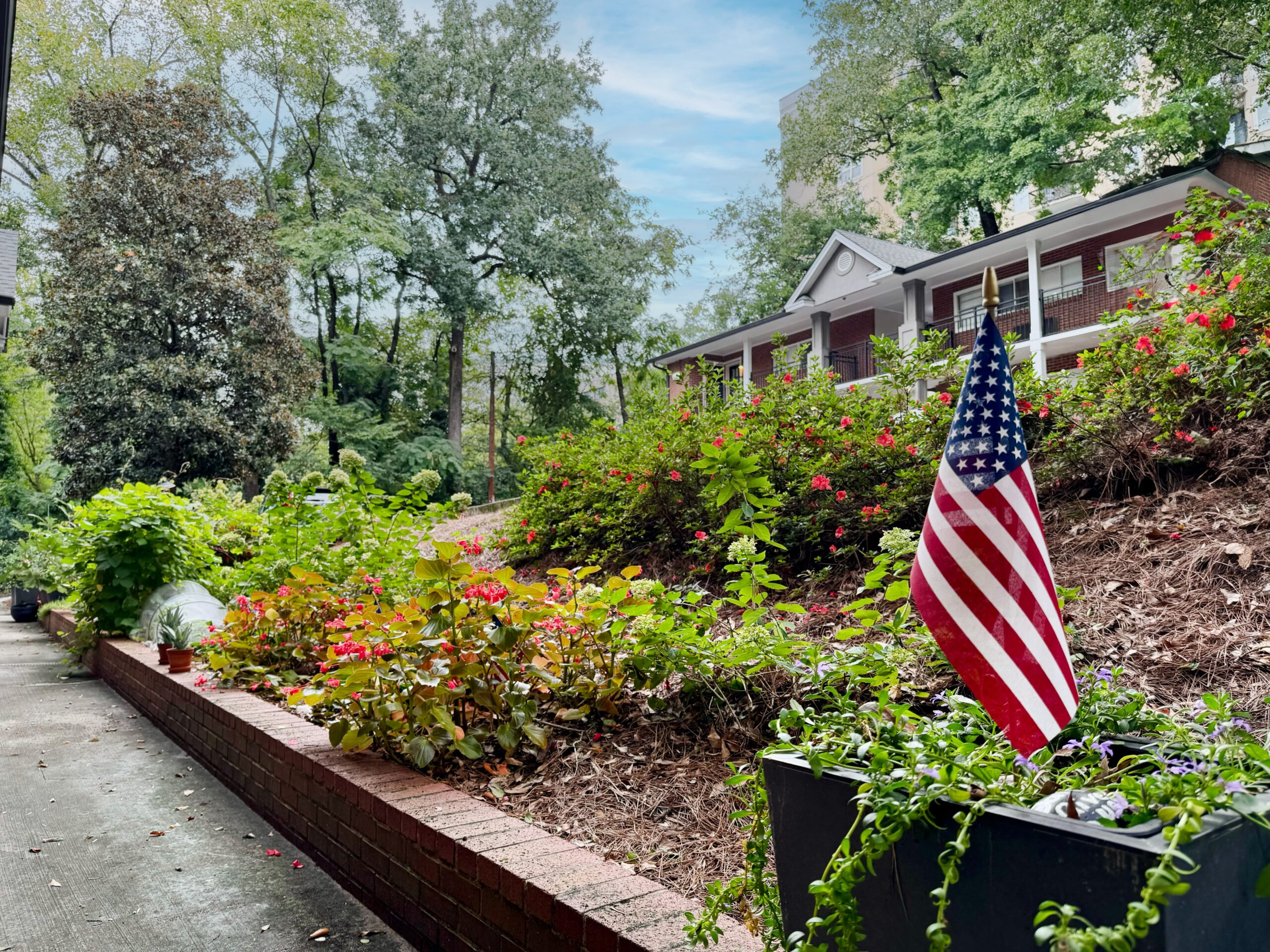 A vibrant garden with lush greenery and red flowers flanks a pathway leading to a house. An American flag is prominently displayed in a plant pot, and tall trees frame the background under a partly cloudy sky.