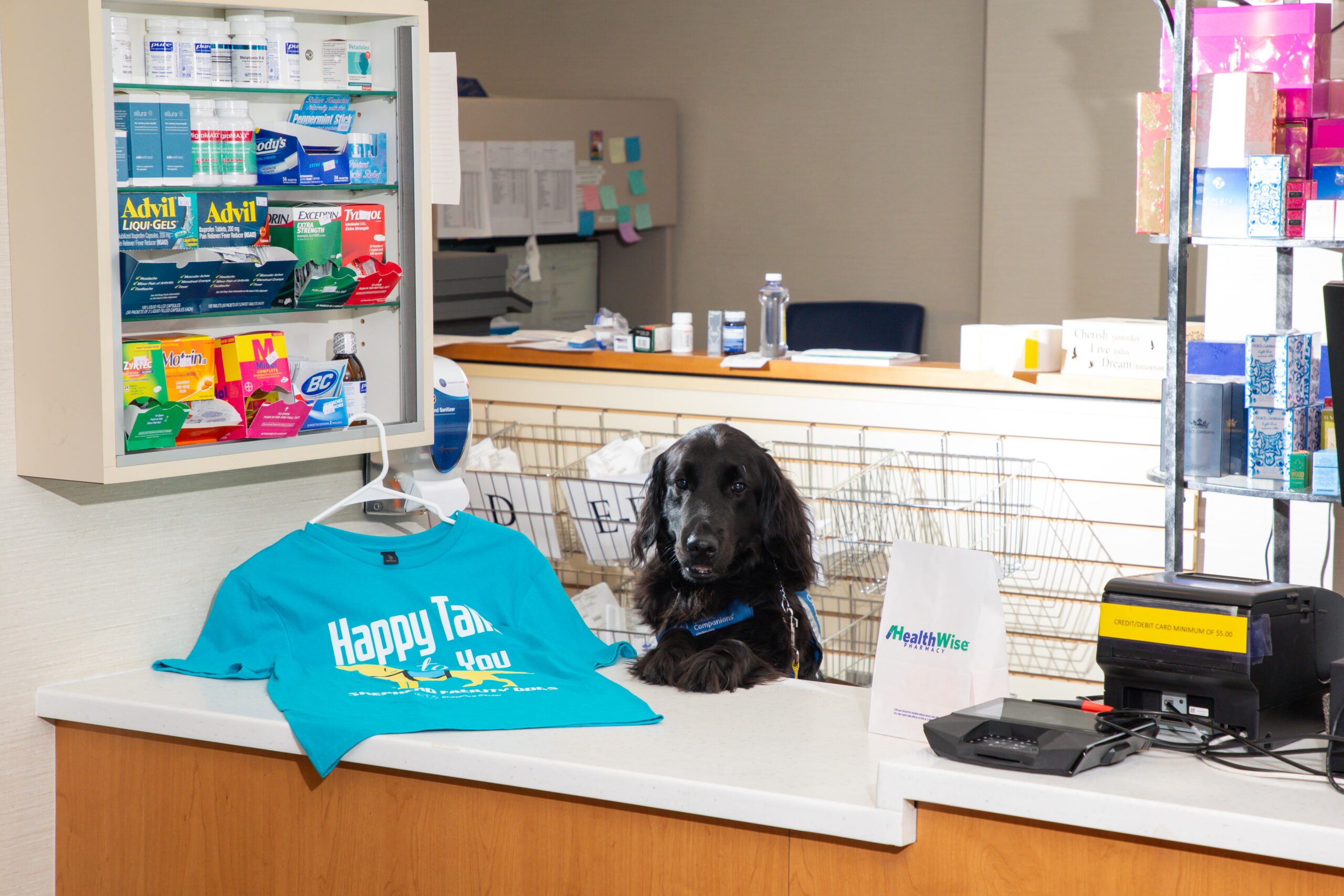 A black dog stands with its paws on a pharmacy counter, surrounded by various medicines, a teal T-shirt, and a white shopping bag. Shelves with supplies are in the background, along with a computer terminal.